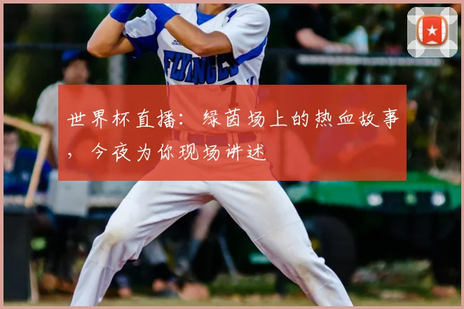 世界杯直播:绿茵场上的热血故事,今夜为你现场讲述
