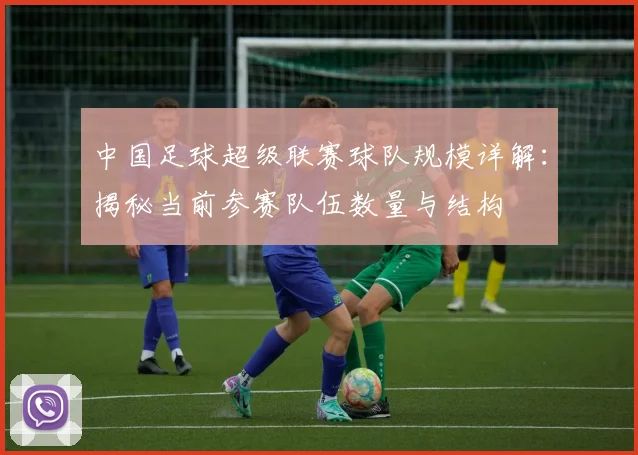中国足球超级联赛球队规模详解:揭秘当前参赛队伍数量与结构