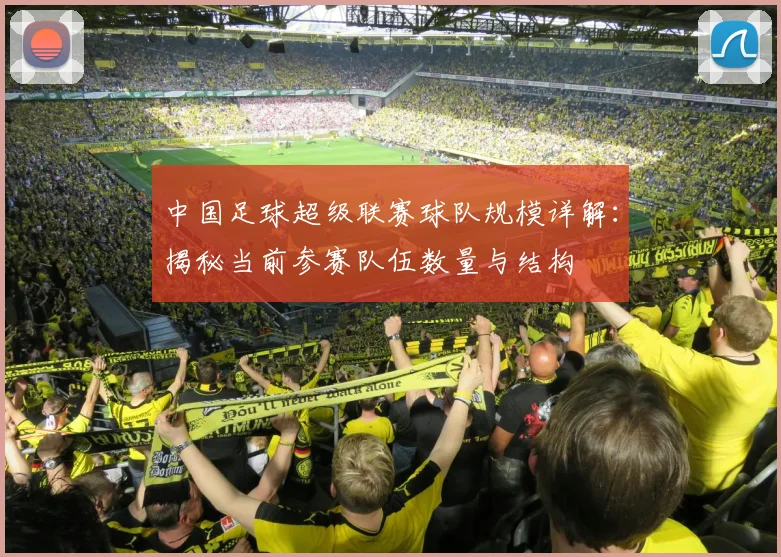 中国足球超级联赛球队规模详解:揭秘当前参赛队伍数量与结构